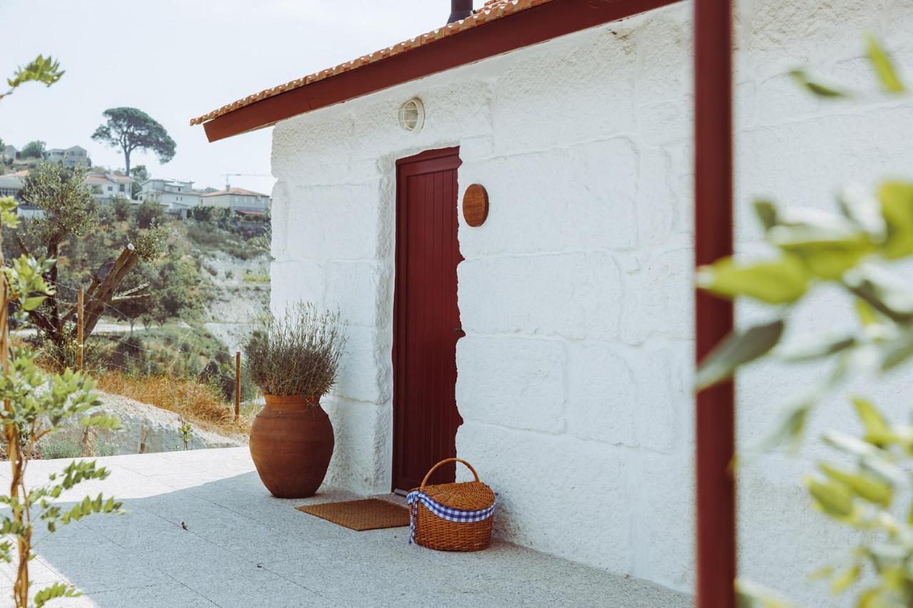 Oliveiras Village — Agroturismo Amarante Luaran gambar